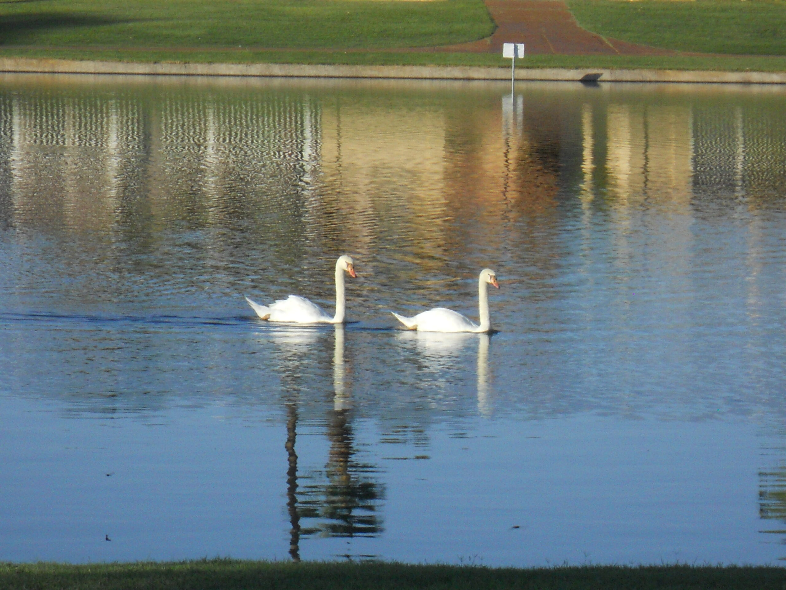 POEMS INSPIRED BY GOD’S NATURE